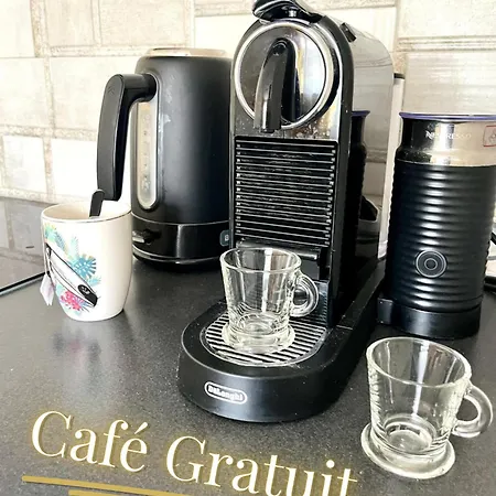 Le Duplex By Leslodgespa - Loft Moderne Et Confortable Au Style Newyorkais, Proche De Bale Et De L'aeroport Apartmán Hesingue